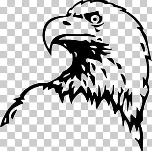 Bald Eagle Hawk Silhouette PNG, Clipart, Animals, Artwork, Bald Eagle ...