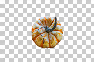 Squash Winter Squash Gourd Nautiluses 0jc PNG