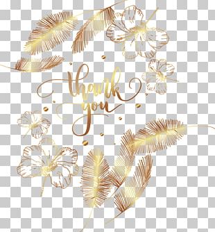 Thank You Frame Png Images Thank You Frame Clipart Free Download