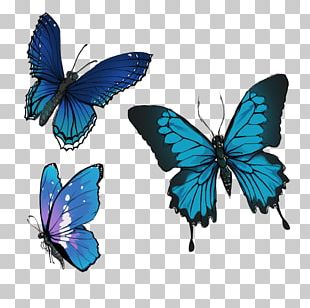 Drawing Butterfly Caterpillar Png, Clipart, Animals, Art, Black, Black 