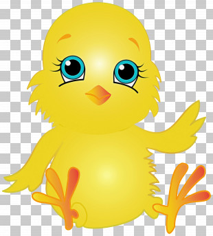 Duck Yellow Cartoon Ducks, Geese And Swans Bird PNG, Clipart, Bath Toy ...