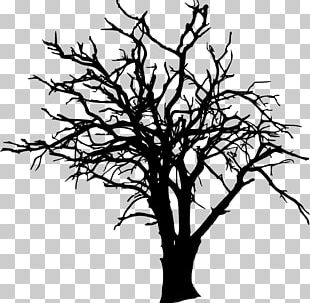 Baobab Tree Silhouette PNG, Clipart, Baobab, Black And White, Branch ...