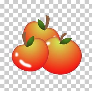 Apple Cake PNG