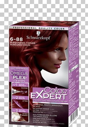 Hair Coloring Relaxer Hair Permanents Straighteners Hair