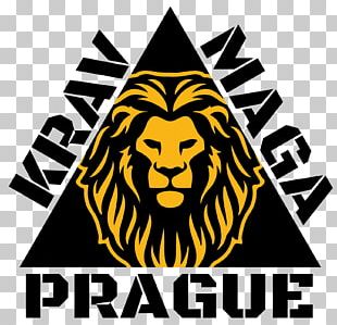 Fulton Speedway Krav Maga Dirt Track Racing PNG