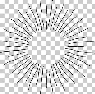 Line Art Drawing PNG