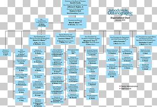 Organizational Chart Organizational Structure Corporation PNG