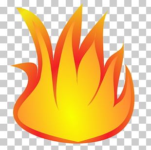 Barbecue Flame Fire PNG