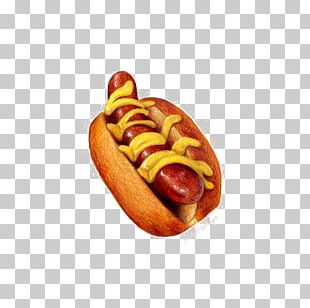Hot Dog Bratwurst Bockwurst Knackwurst Street Food PNG