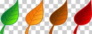 Autumn Leaf Color Free Content PNG, Clipart, Autumn, Autumn Leaf Color ...