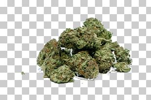 Medical Cannabis Dispensary Cannabis Shop Legalization PNG