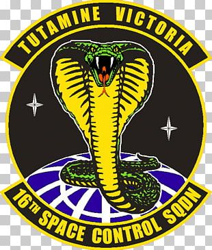 Peterson Air Force Base Cobra Dane 16th Space Control Squadron PNG