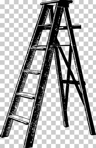 Snakes And Ladders PNG