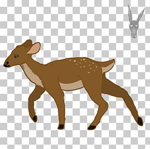Red Fox Reindeer Moose Elk PNG
