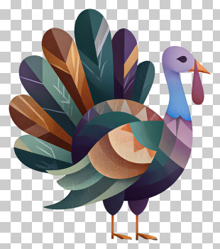 Geometric Turkey - Geometric Abstract Turkey PNG