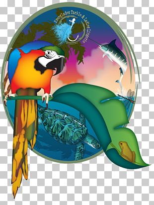 T-Shirt Express MyLocalCircles Macaw J & C Auto Sales PNG