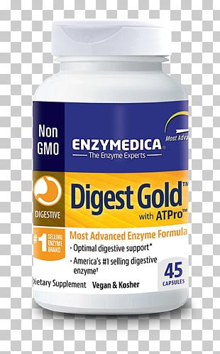 Dietary Supplement Digestion Digestive Enzyme Food PNG