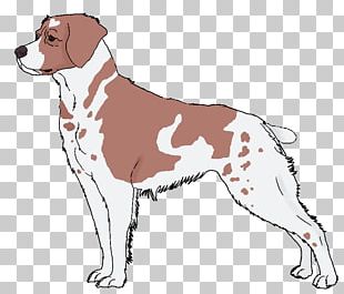 Dog Breed Companion Dog Spaniel PNG
