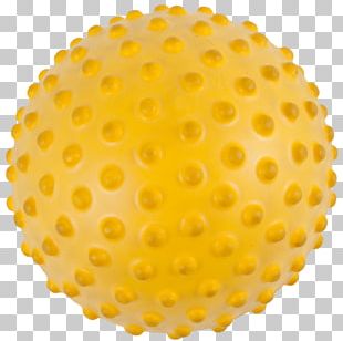 Exercise Balls .edu Dozen Childhood PNG