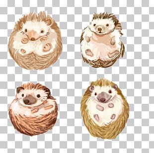 Hedgehog Dongsuwon Sageori Cat-like Naver Blog PNG