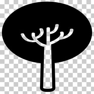 Tree Computer Icons Shape PNG