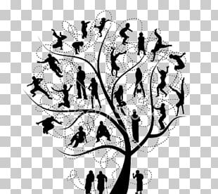 Family Tree Stock Photography PNG