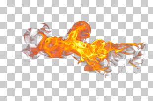 Flame Computer Icons Fire PNG