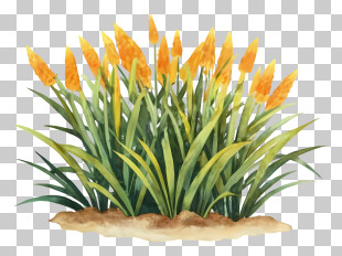 Cartoon - Yellow Flowers In Green Leaves PNG