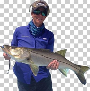 Captain Rachel Fishing Rods Marina Drive Fish Hook PNG