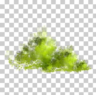 Leaf Computer Wallpaper Grass PNG
