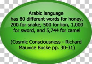 Quran Arabic Language Hadith Word PNG