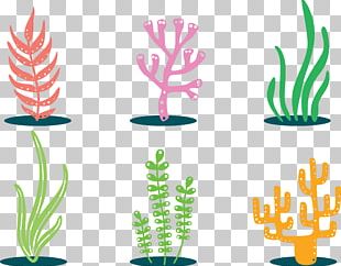 Seagrass Algae Seaweed PNG, Clipart, Algae, Art, Benthos, Cartoon