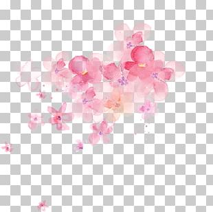 Cherry Blossom Portable Network Graphics PNG, Clipart, Azalea, Blossom ...