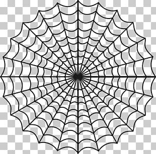 Spider-Man Spider Web Drawing PNG