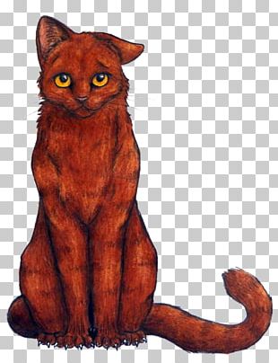 warrior cats reedwhisker