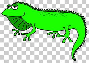 Reptile Common Wall Lizard Green Iguana PNG, Clipart, Agamidae ...