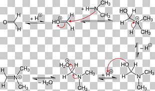 Mannich Reaction Amine Aldehyde Mannich Base Ketoâ€“enol Tautomerism PNG