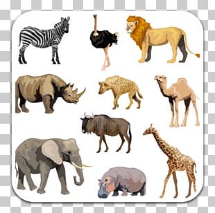 African Bush Elephant PNG, Clipart, African Bush Elephant, African ...