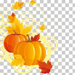 Halloween Pumpkin Pie Jack-o'-lantern PNG, Clipart, Clip Art, Evil ...