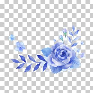 Blue Rose Garden Roses Cabbage Rose Carnation Cut Flowers PNG, Clipart ...