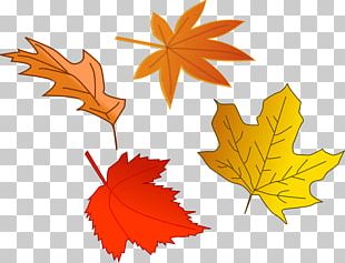 Autumn Leaf Color The Leaves Are Falling One By One PNG