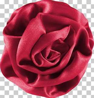 Garden Roses Photography Scrapbooking Frames PNG