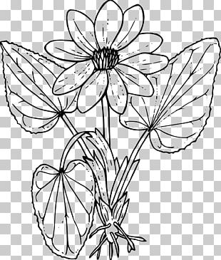 Wildflower Coloring Book PNG Images, Wildflower Coloring Book Clipart ...