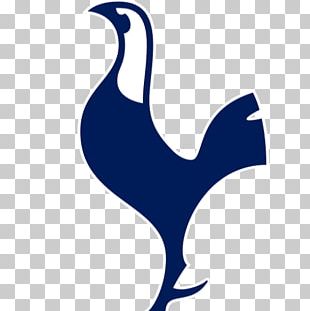 Tottenham Hotspur Bird png download - 575*1403 - Free Transparent