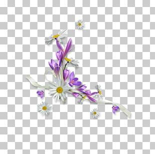 Cut Flowers Floral Design Petal Branch PNG