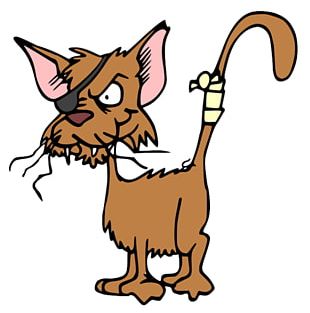 Felix The Cat Kitten PNG