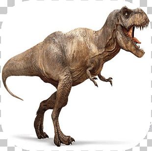 Tyrannosaurus Rex Triceratops Dinosaur Velociraptor Late Cretaceous PNG ...