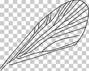 Dragonfly Insect Wing PNG, Clipart, Angle, Chicken, Computer Monitors ...