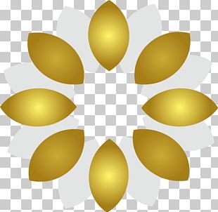 Celtic Knot Logo PNG