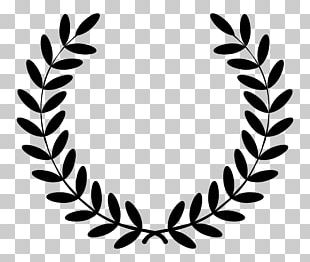 Laurel Wreath Bay Laurel PNG, Clipart, Bay Laurel, Branch, Branches ...